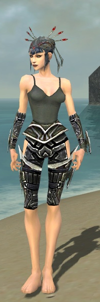 File:Necromancer Elite Profane armor f gray front arms legs.jpg