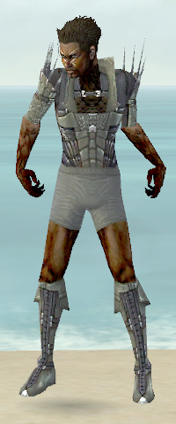 File:Necromancer Cabal armor m gray front chest feet.jpg