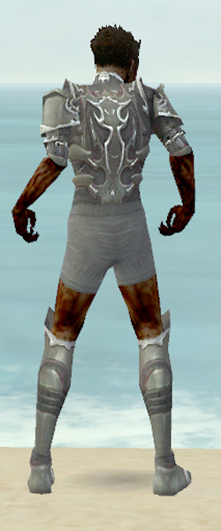 File:Necromancer Tyrian armor m gray back chest feet.jpg