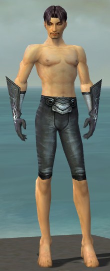 File:Elementalist Stormforged armor m gray front arms legs.jpg