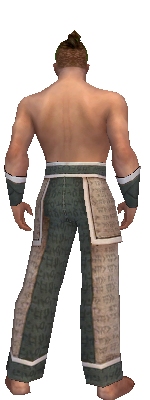 File:Monk Woven armor m gray back arms legs.jpg