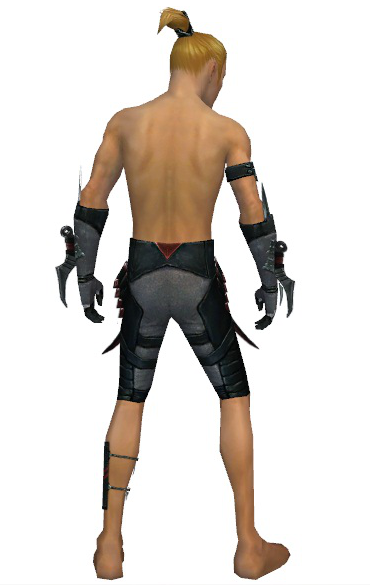 File:Assassin Elite Canthan armor m gray back arms legs.png