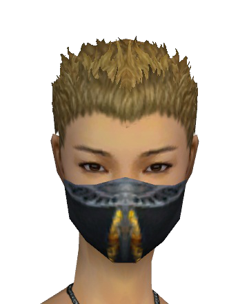 File:Assassin Exotic Mask f gray front.png