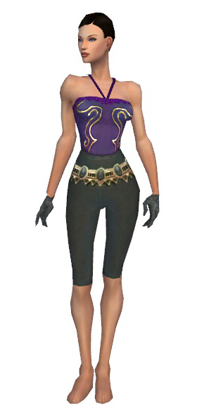 File:Mesmer Krytan armor f gray front arms legs.png