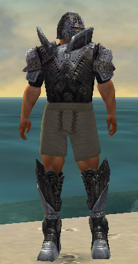 Warrior Elite Platemail armor m gray front chest feet.jpg