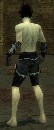 File:Necromancer Tyrian armor m black back arms legs.jpg