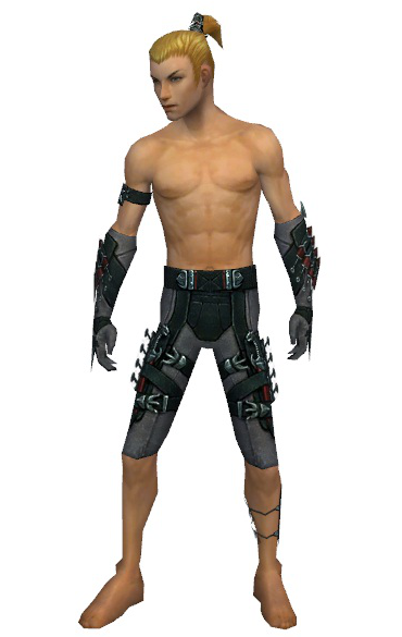 File:Assassin Seitung armor m gray front arms legs.png