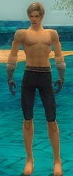 Elementalist Norn armor m gray front arms legs.jpg