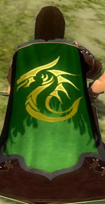 Guild New Dragons cape.jpg