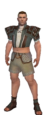 File:Monk Censor armor m gray front chest feet.jpg
