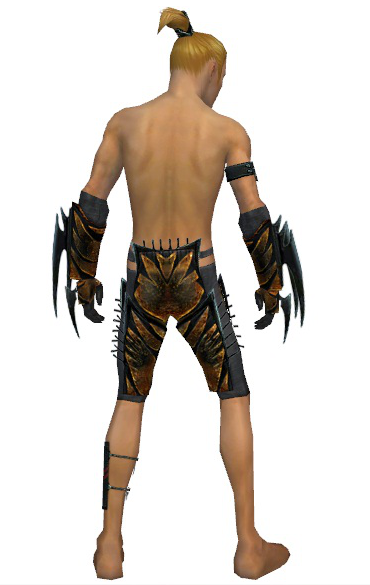 File:Assassin Elite Exotic armor m gray back arms legs.png