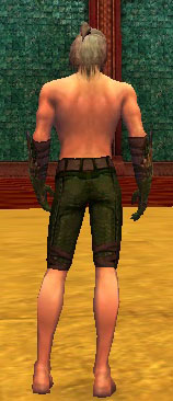 File:Ranger Elite Druid armor m gray back arms legs.jpg