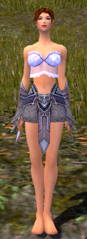 File:Elementalist Asuran armor f gray front legs gloves.png