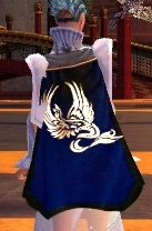 Guild Southern Warriors cape.jpg