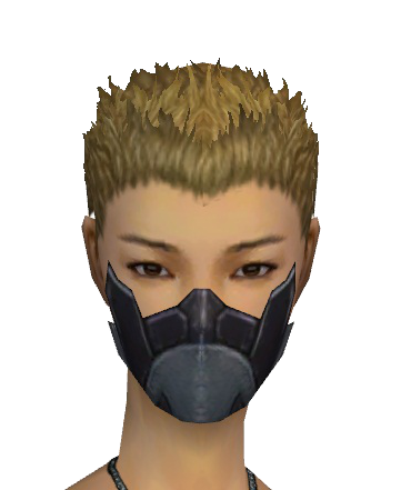 File:Assassin Elite Canthan Mask f gray front.png