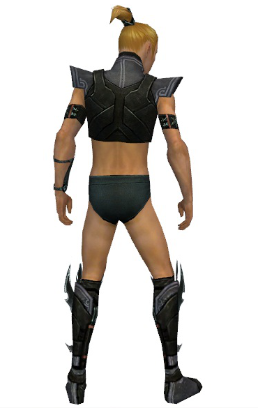 File:Assassin Luxon armor m gray back chest feet.png
