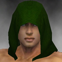 File:Shining Blade Cowl costume m green front head.jpg