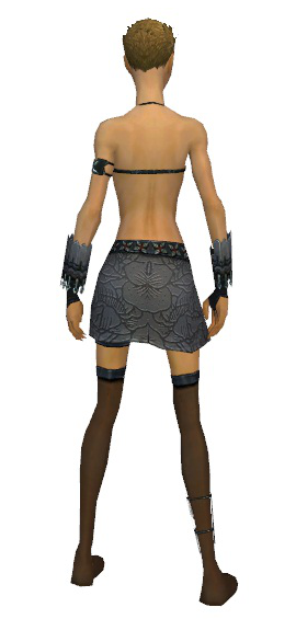 File:Assassin Canthan armor f gray back arms legs.png