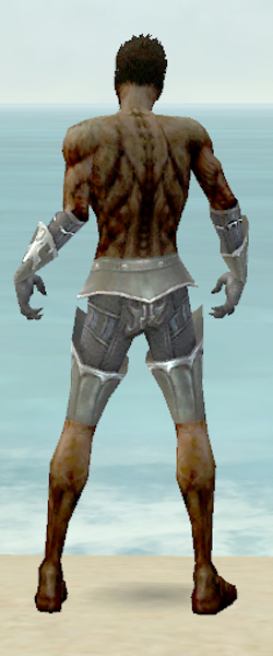File:Necromancer Tyrian armor m gray back arms legs.jpg