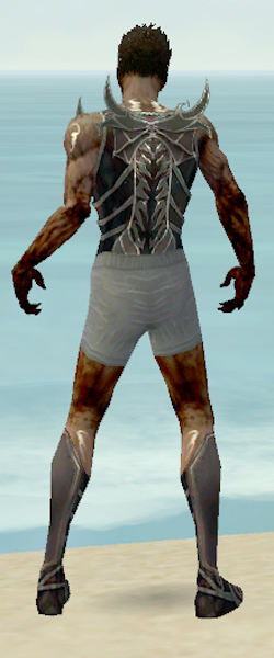 File:Necromancer Istani armor m gray back chest feet.jpg