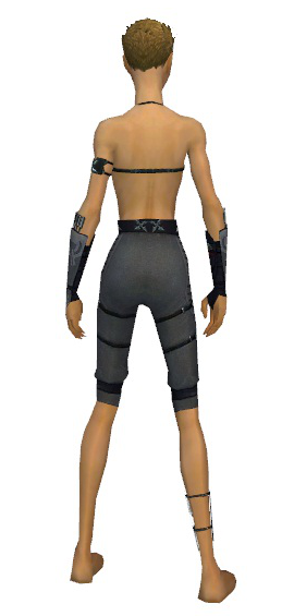 File:Assassin Shing Jea armor f gray back arms legs.png