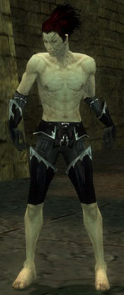 File:Necromancer Tyrian armor m black front arms legs.jpg