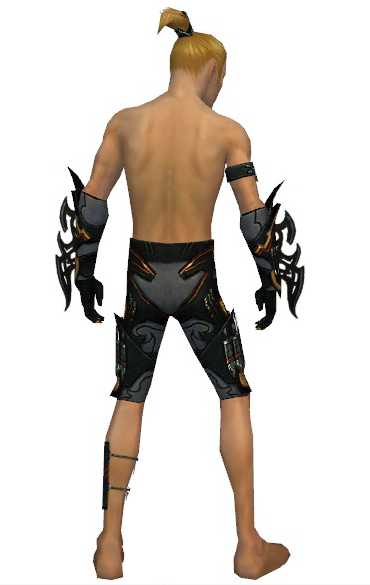 File:Assassin Elite Kurzick armor m gray back arms legs.png