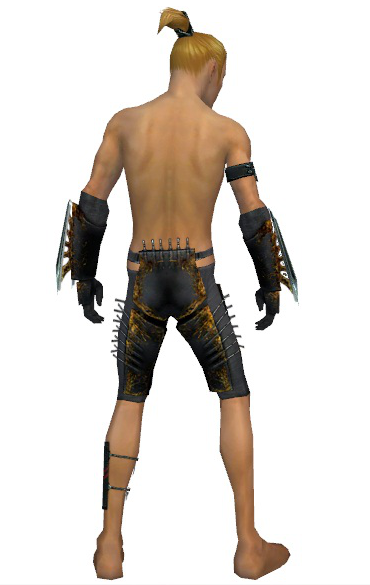 File:Assassin Exotic armor m gray back arms legs.png