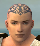 File:Monk Elite Sunspear armor m gray front head.jpg