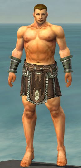 File:Warrior Gladiator armor m gray front arms legs.jpg