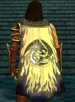 File:Guild Heaven Light On Us Heroes cape.png