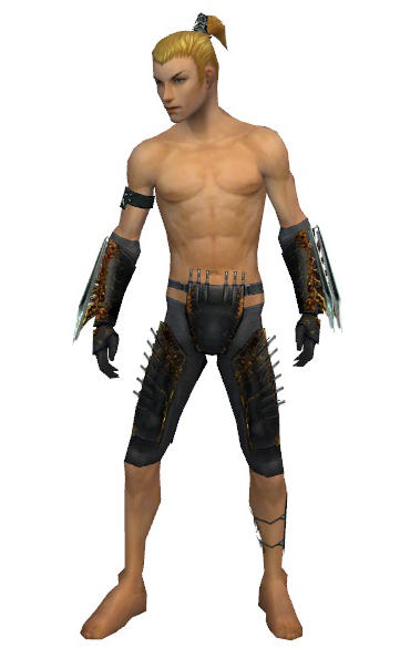 File:Assassin Exotic armor m gray front arms legs.png