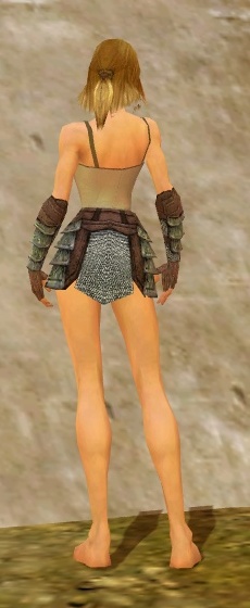 File:Warrior Krytan armor f gray back arms legs.jpg