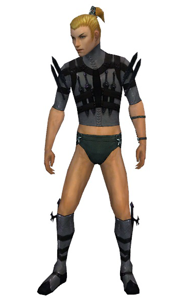 File:Assassin Obsidian armor m gray front chest feet.png
