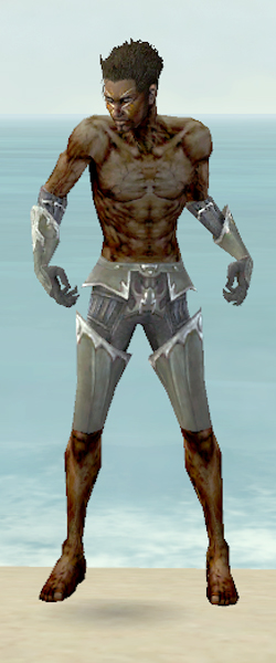 File:Necromancer Tyrian armor m gray front arms legs.jpg