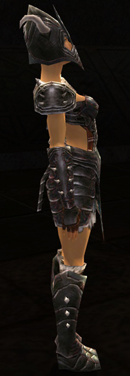 File:Warrior Norn armor f dyed right.jpg