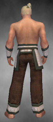 File:Monk Elite Woven armor m gray back arms legs.jpg