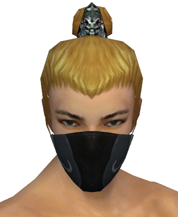 File:Assassin Vabbian Mask m gray front.png