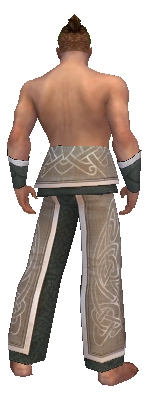 Monk Tyrian armor m gray back arms legs.jpg
