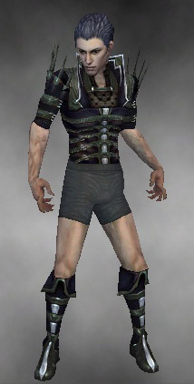 File:Necromancer Elite Cabal armor m gray front chest feet.jpg