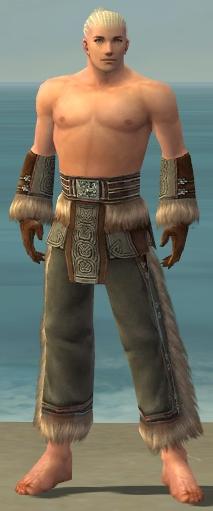 File:Monk Norn armor m gray front arms legs.jpg