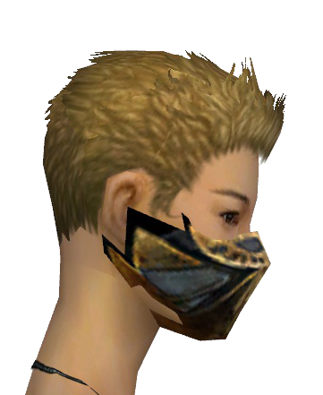 File:Assassin Elite Exotic Mask f gray right.png