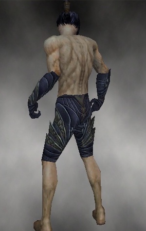 File:Necromancer Krytan armor m gray back arms legs.jpg