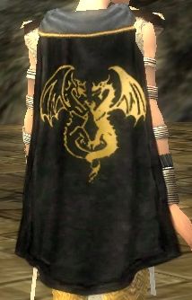 File:Guild The Scarred Ones cape.jpg