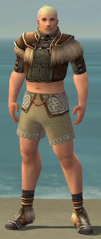 File:Monk Norn armor m gray front chest feet.jpg