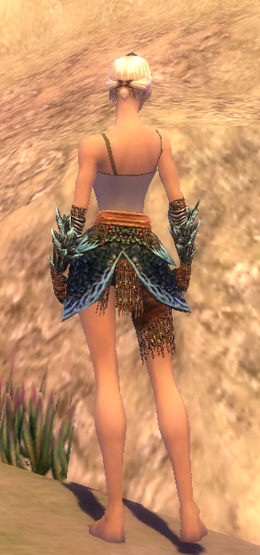 File:Warrior Luxon armor f dyed back arms legs.jpg