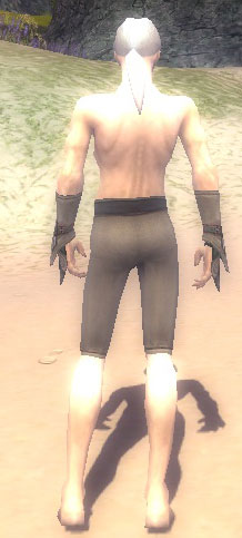 File:Elementalist Asuran armor m gray back arms legs.jpg