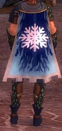 Guild Incredibly Cool Evaders cape.jpg
