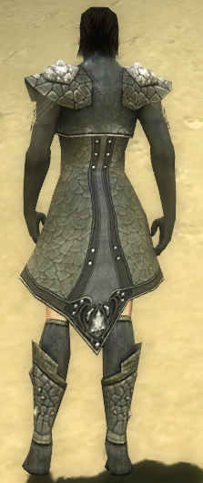 File:Elementalist Elite Stoneforged armor m gray back chest feet.jpg