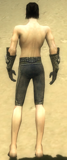 File:Elementalist Elite Stoneforged armor m gray back arms legs.jpg